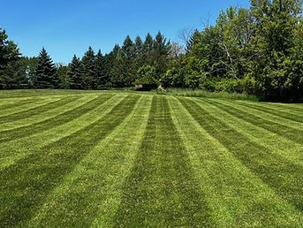 Residential Lawn Care