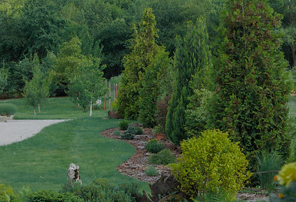 Garden_edited.jpg