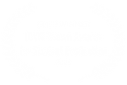 GOLD WINNER - ICVM Crown Awards for Student Production - 2025.png