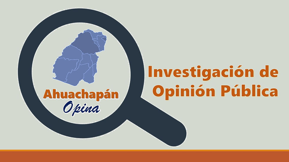 Investigación de Opinión Pública Noviembre 2020