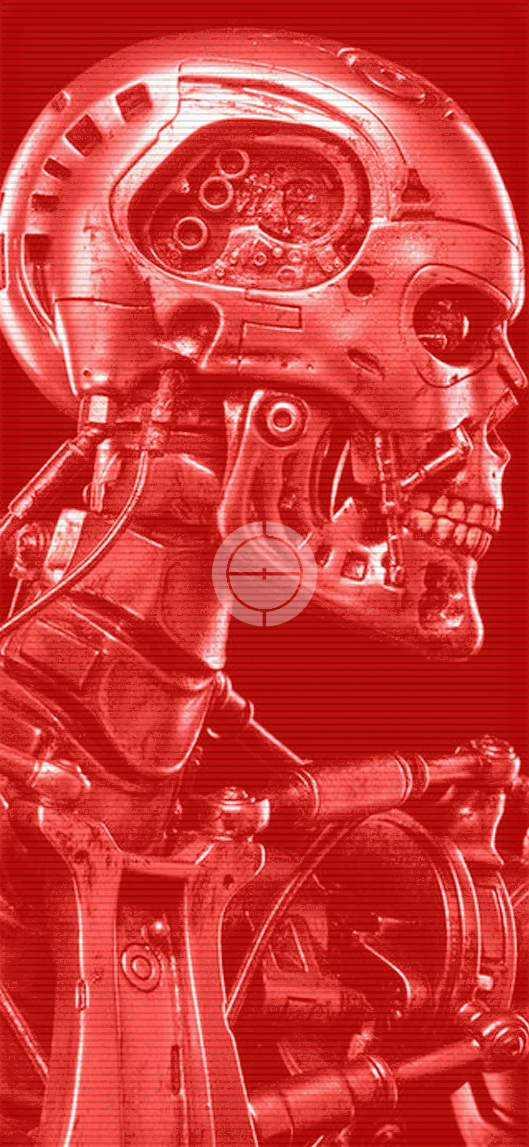 THE-TERMINATOR-WALLREDMI-GIF-[statico].gif
