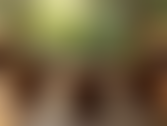 Ubud Couples Sound Journeys: The Magic of a Sound Journey for Two in Ubud