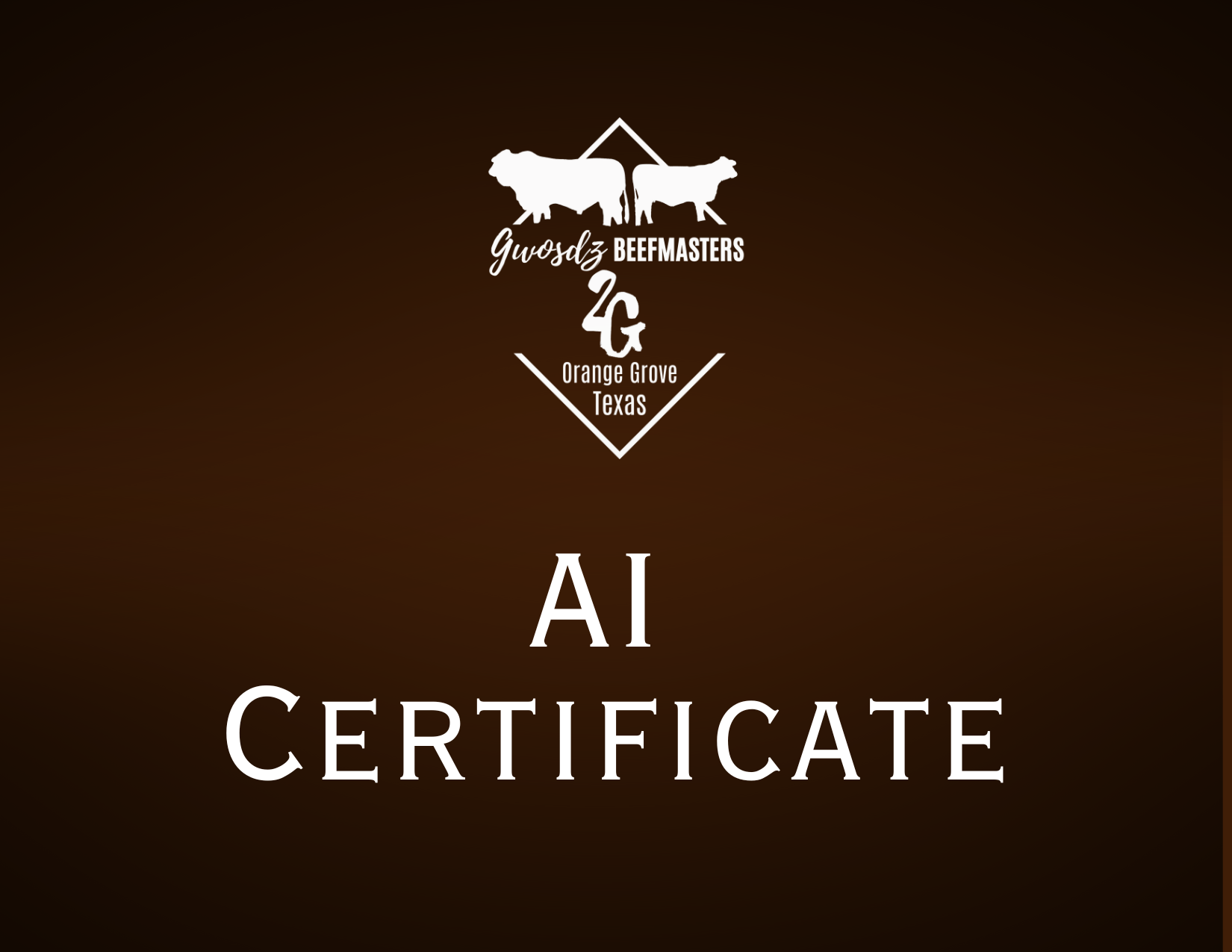 AI Certificates