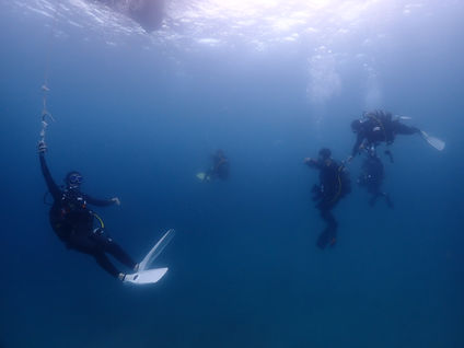 海旅ログはSNSで更新中