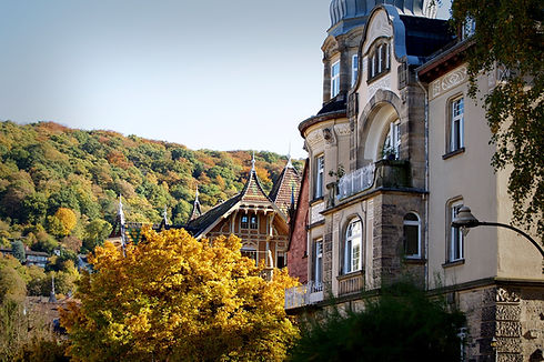 heidelberg-1808084_1280.jpg