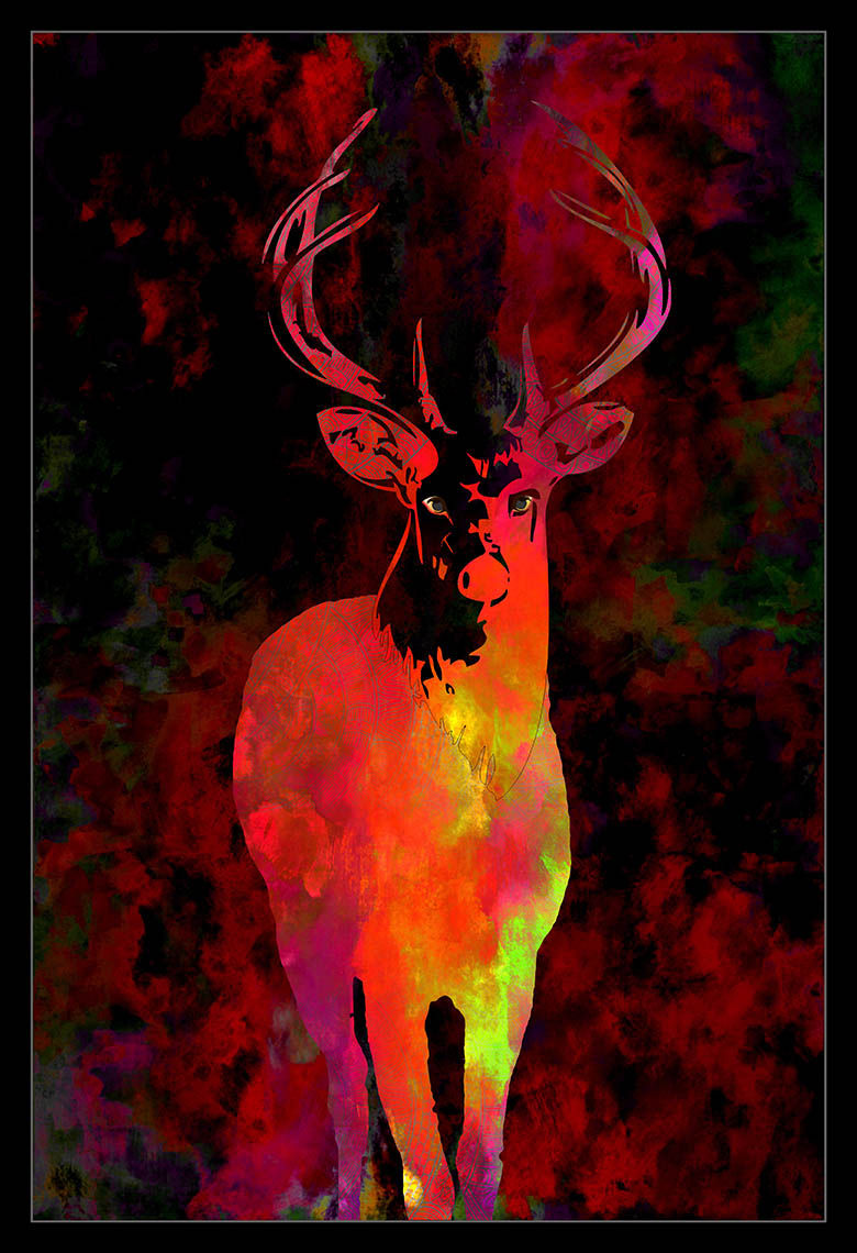 Deer 1