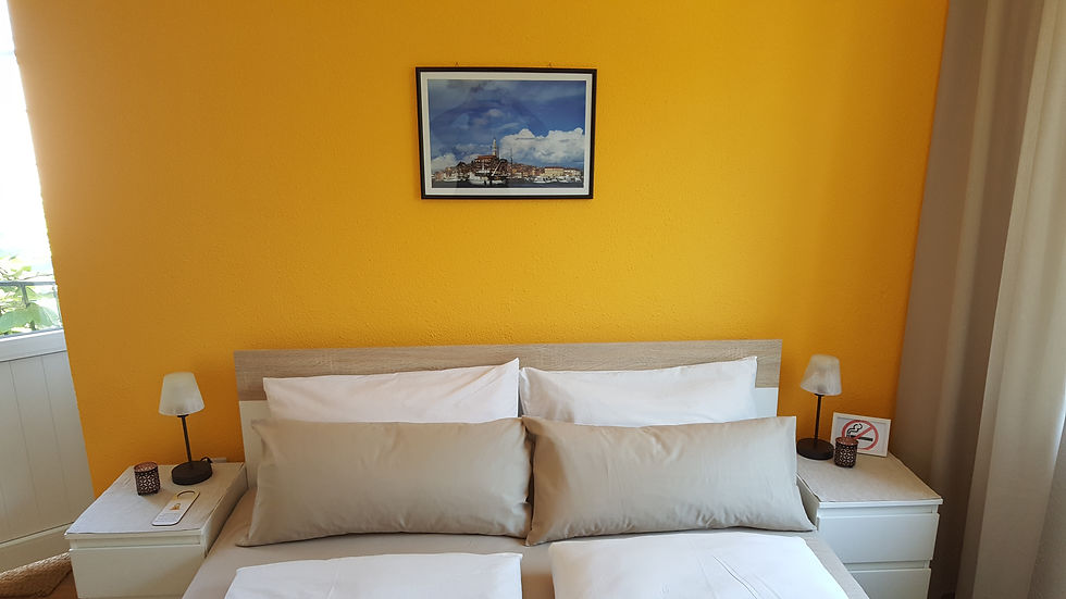 Double Room "Istrian Sun"
