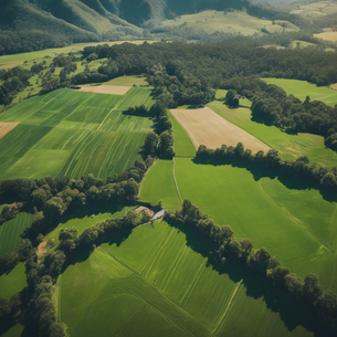 Discover Kangaroo Valley: Rural Properties for Sale