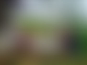 Seeds of Change: Empowering the Community in Reforestation through Plant Nursery Establishment