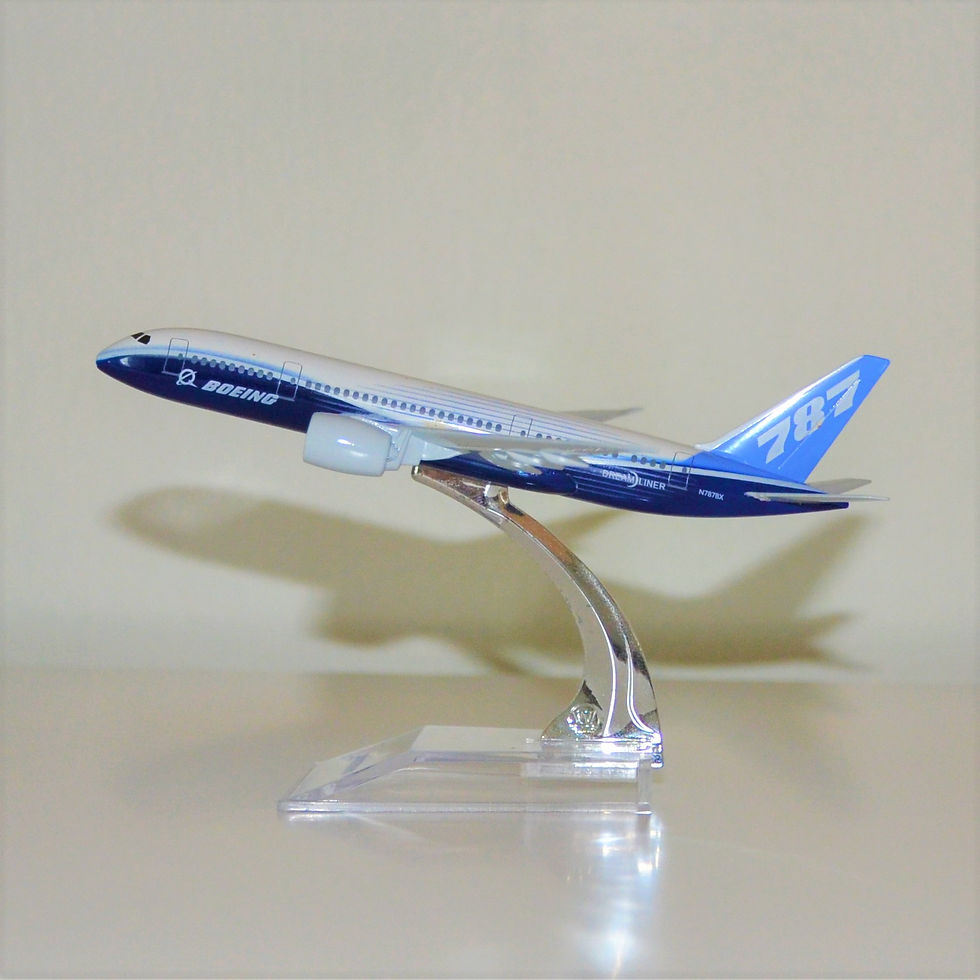 Boeing B787-8 House Livery