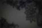 Background-1.jpg