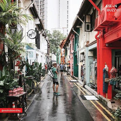 49848345_329142841026189_526518751467457