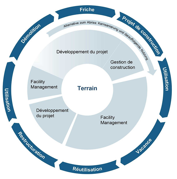 Grafik_Immobilienzyklus_FR_edited.jpg