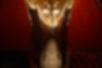 LEDERNIERARRET_FILM_REPERAGE_EXPORAIL-33.jpg