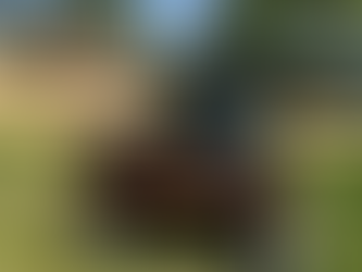 Work at Woodbridge Station Park Conducted by HELPCO