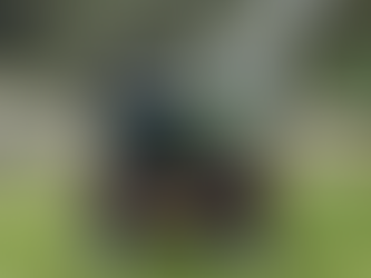 Organization of Outlook Park Provided by HELPCO