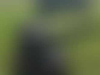 HELPCO Straightens Stratford Park With Latest Event