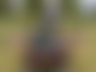 Environmental Enhancement at Emerald Park Executed by HELPCO