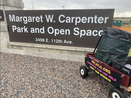 Cleanup at Carpenter Park Provided by HELPCO