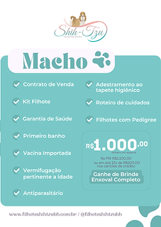 www.filhoteshihtzubh.com.br  (2).png