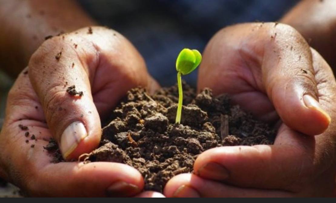 oha professional services growing communities 