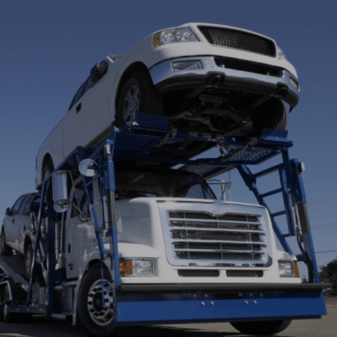 Navigating the Auto Transport Buzz How We Ensure Excellence During the