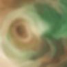 Etherial womb-like neutral background image with a green and brown colour pallet.jpg
