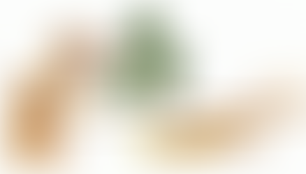 Herbs For Fertility, Menstruation, & Family Planning