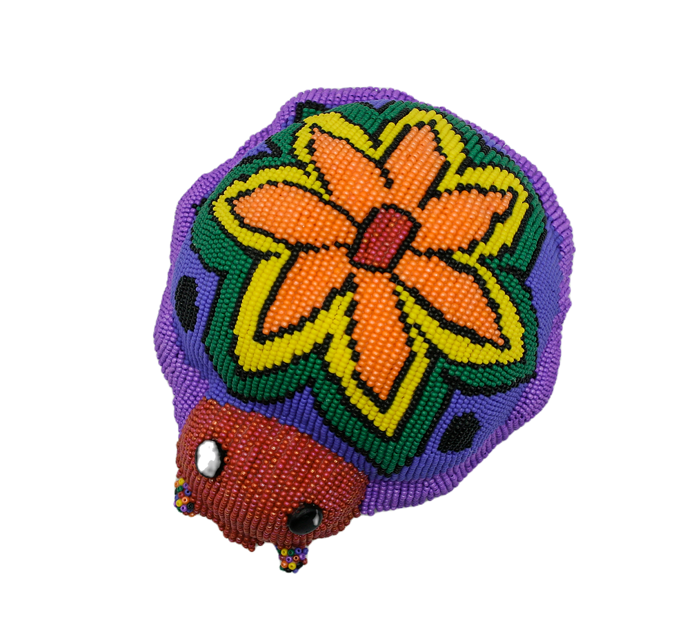 Flower Ladybug