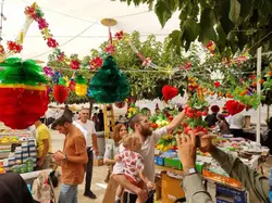 News_20Sept21_1_Brenda-Groat_20210919_134427