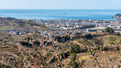 和歌山県みなべ町の地元のおすすめ工務店・建築事務所｜新築・リフォームのメリットデメリット情報