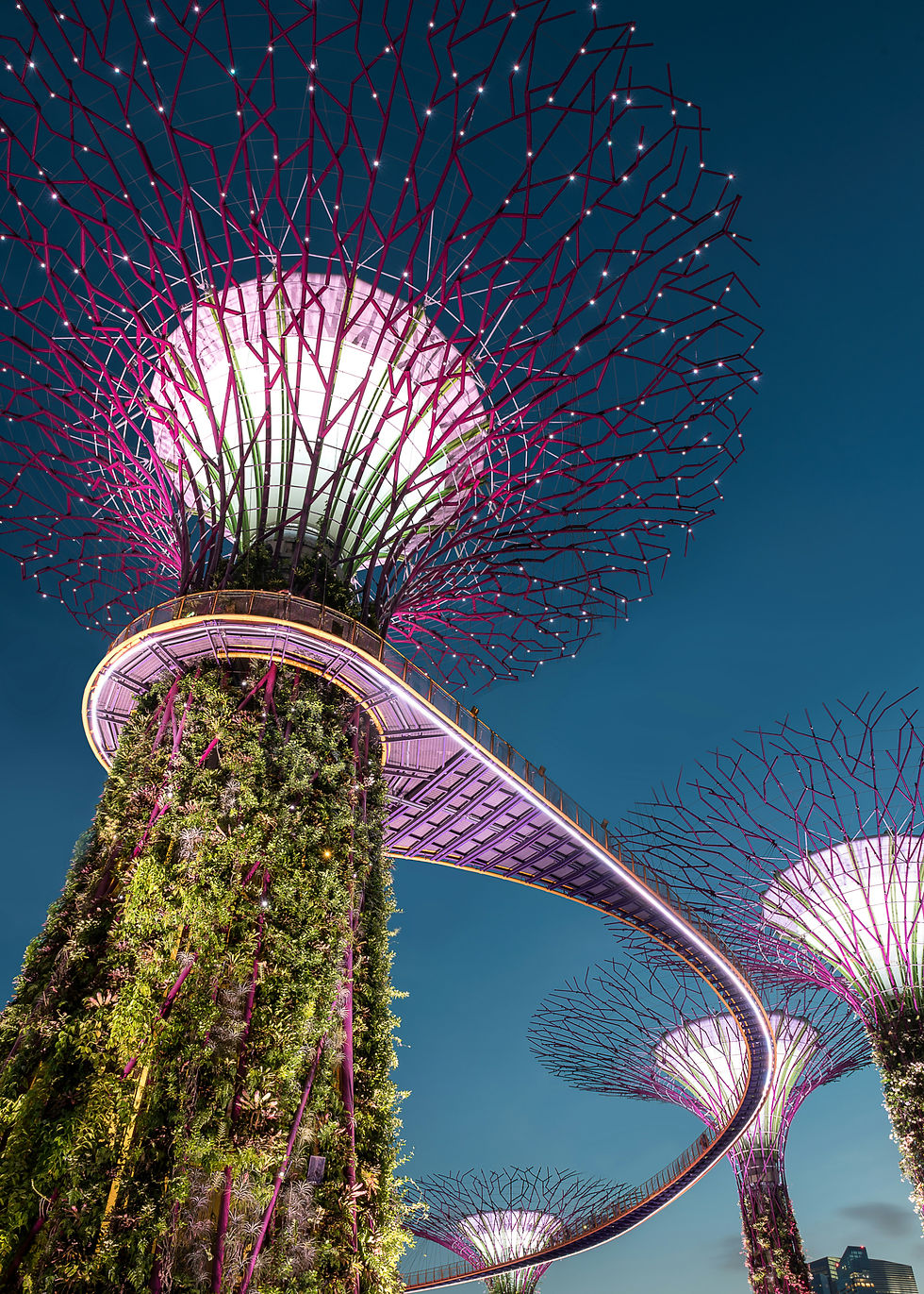 large manmade structures resembling trees with purple lights