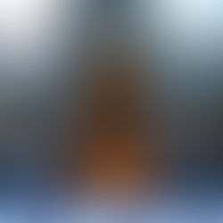 New York City Christmas: The Ultimate Winter Day of Festive Magic