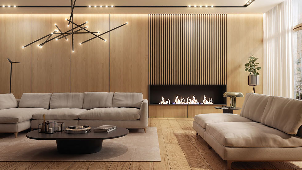 premium home cleaning