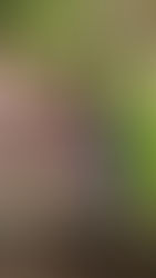 MUSE FAMILY - MINI SHOOT