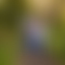 TESORIERO FAMILY - MINI SESSION