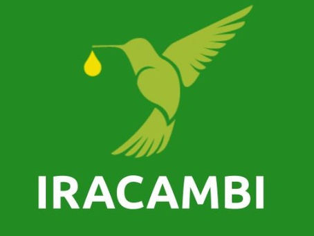 Giving Tuesday: Be like the Hummingbird
