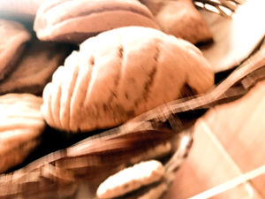 IMG-4764_edited.jpg