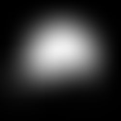 Fight with the "Black Dog"