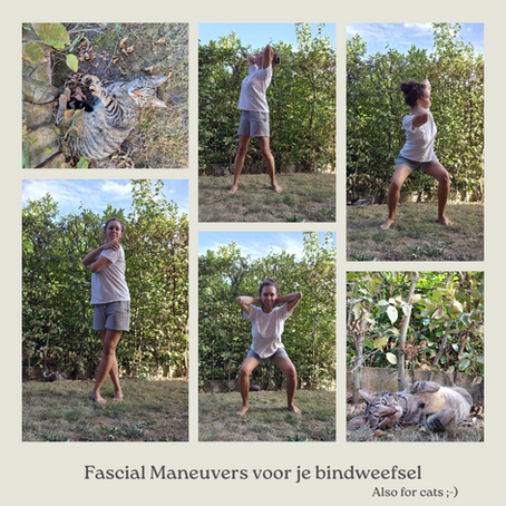 Wat gebeurt er als je een magische pil neemt en de pijn verdwijnt? - Fascial Maneuvers