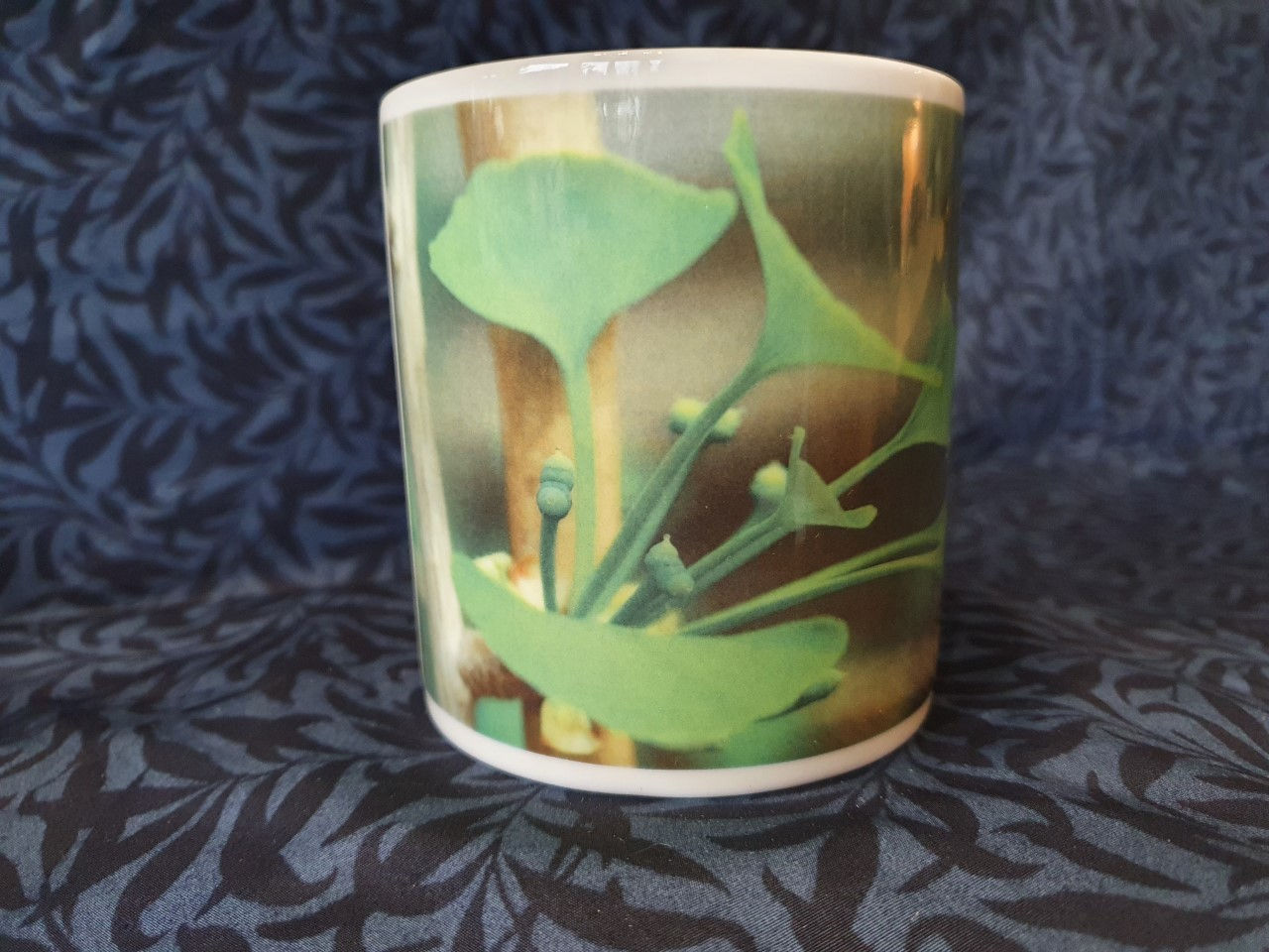 Ginkgo biloba Mug - Female Flowers