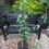Thumbnail: Ginkgo biloba 'Fastigiata'
