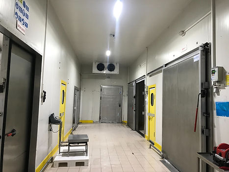 Chicken Cold Storage