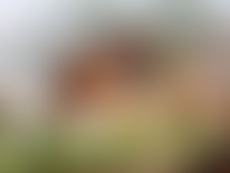 Designing for Well-Being: How the Best Architect in Calicut Creates Healthy Homes