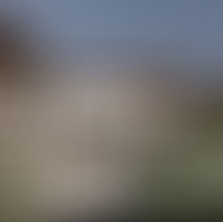 أحدث اتجاهات التصميم المعماري في السعودية لعام 2026