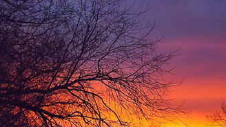 A leafless tree’s silhouette stands out against a gradient twilight sky with colors ranging from deep purple to fiery orange.
