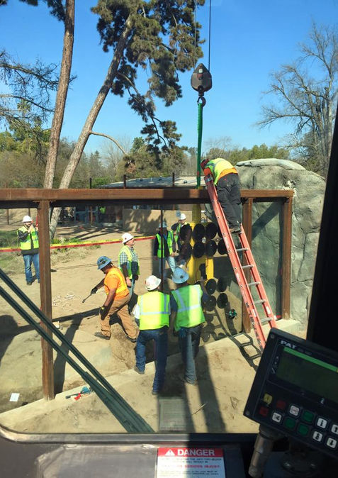 Workers in safety vests guide large glass panels into place using a crane and suction lifter at the Fresno Chaffee Zoo. This installation is part of a habitat construction project, creating immersive viewing areas for zoo visitors.