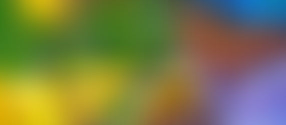 Choisir de guérir💛