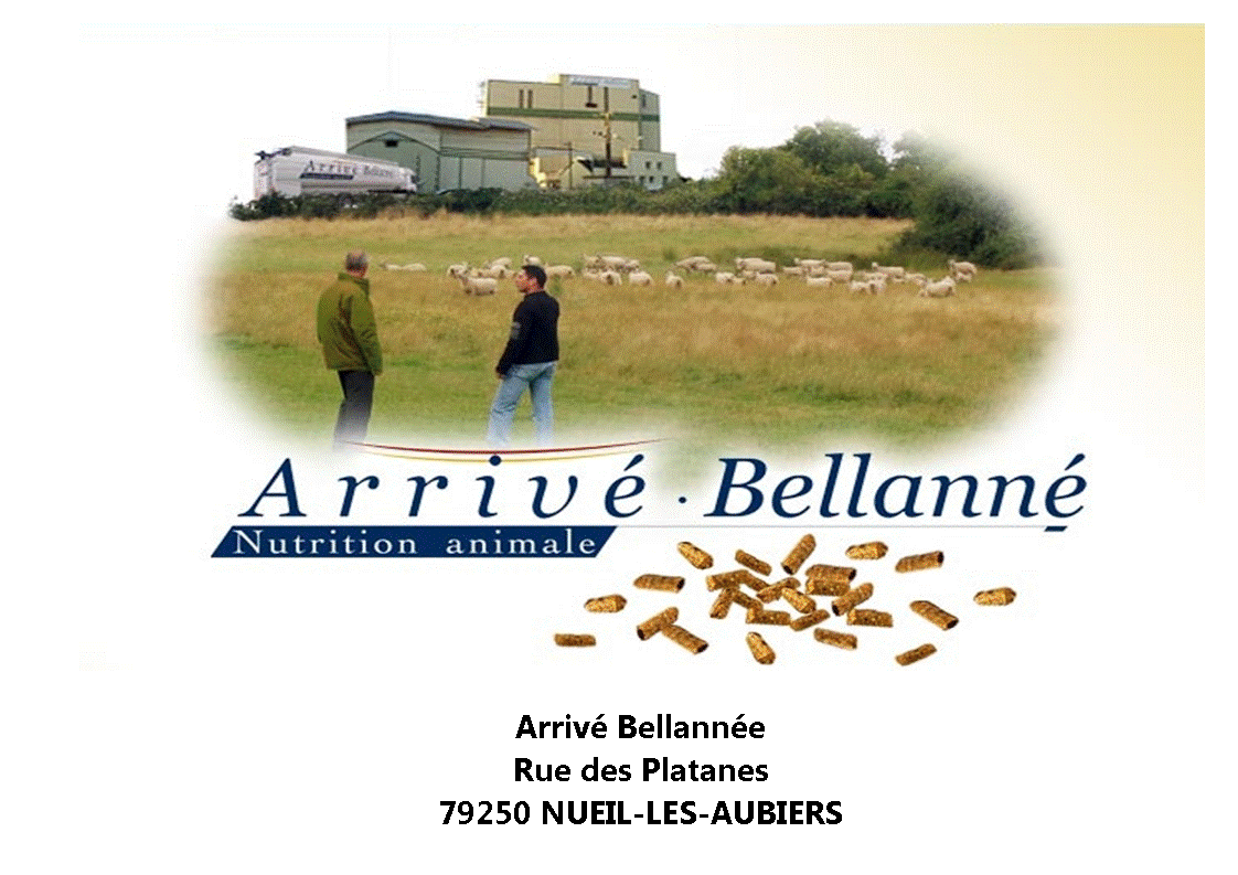 Arrivé Bellanné