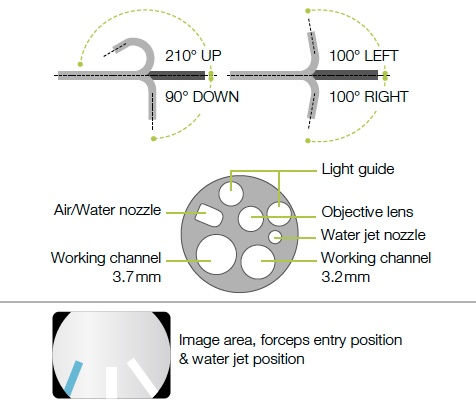 Miniatura: Endoscopio de doble canal EI-740 D/S